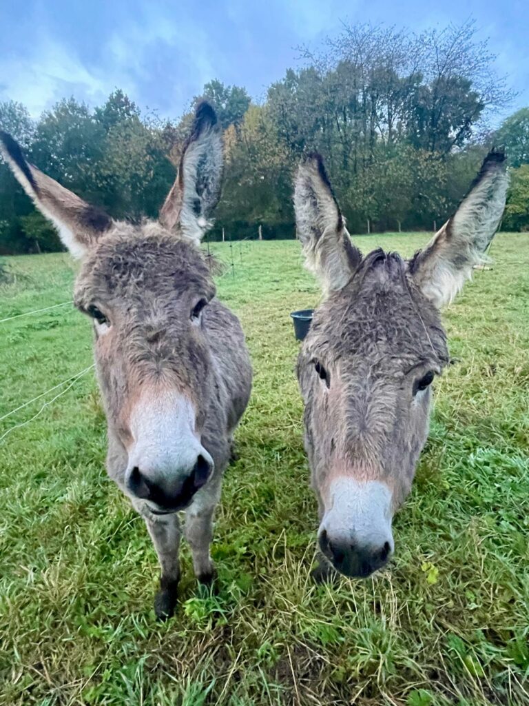 Têtes de Juju et de Juliette